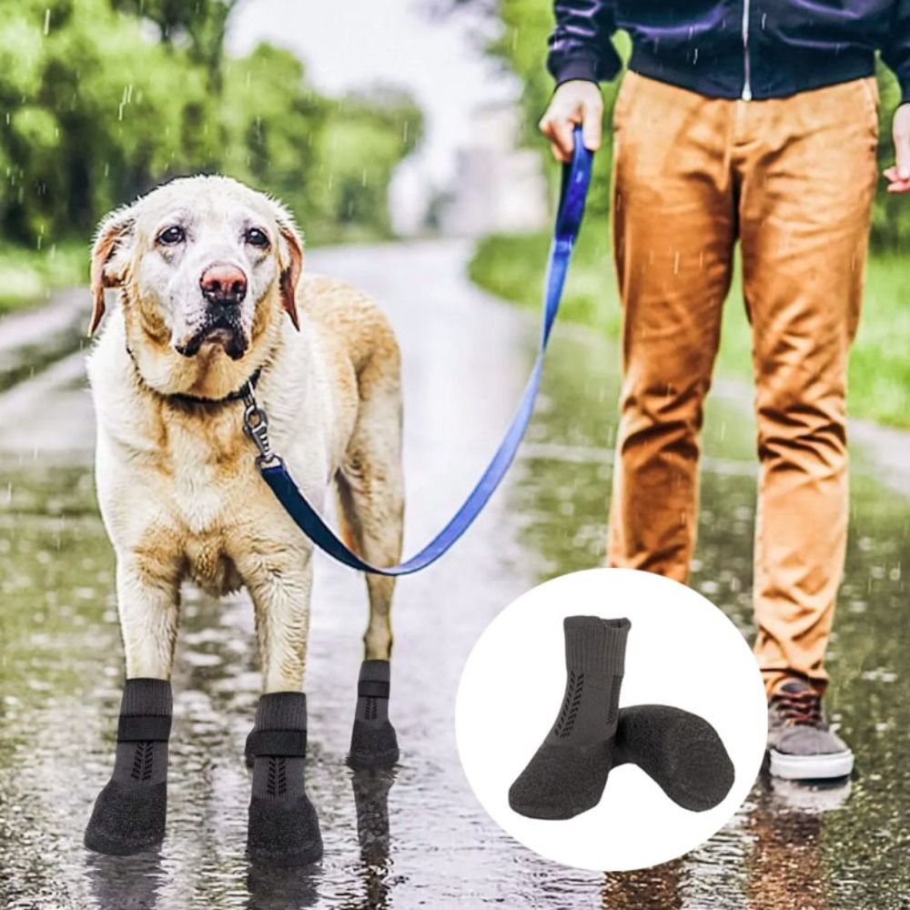 4pcs Pet Supplies Waterproof P - Pet Supplies App 评论和价格