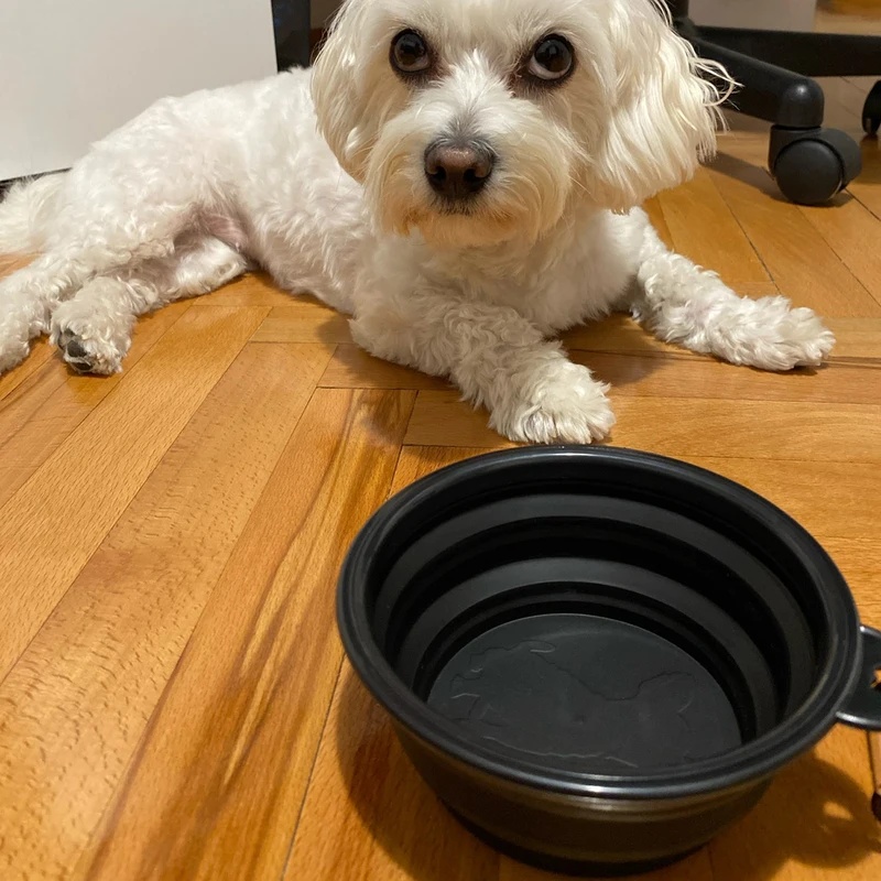 1/2pcs Collapsible Pet Silicon - Pet Supplies Is Food 评论和价格