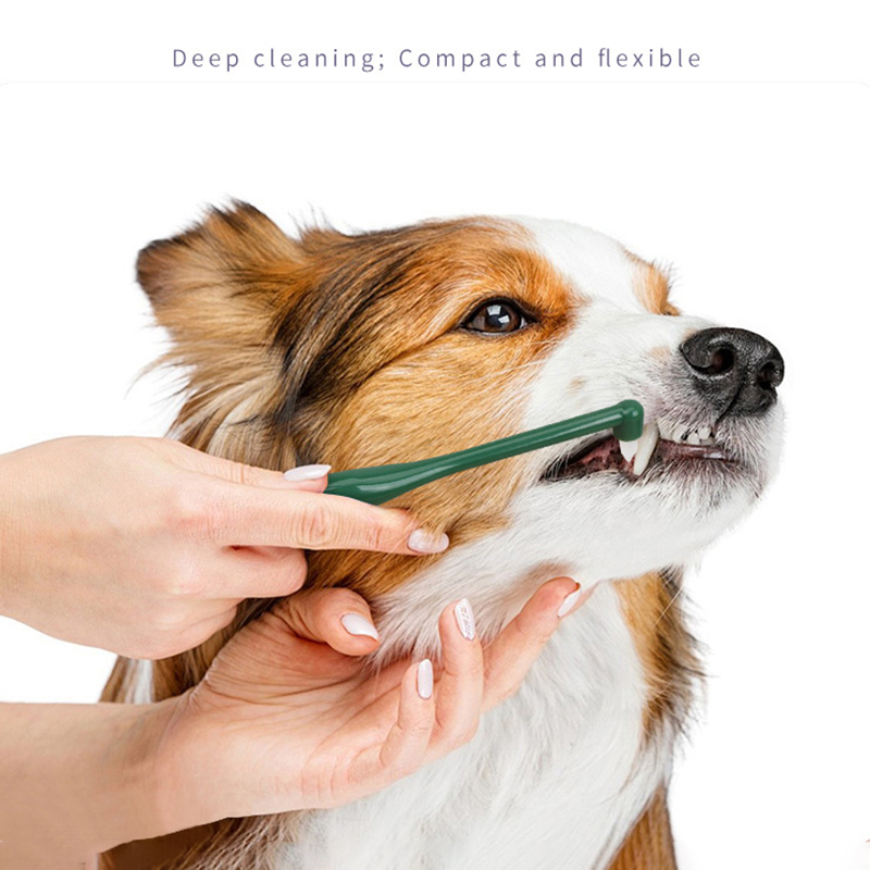 Micro Head Dog Cat Toothbrush  - Pet Supplies App 评论和价格