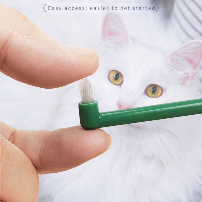 Micro Head Dog Cat Toothbrush  - Pet Supplies App 评论和价格