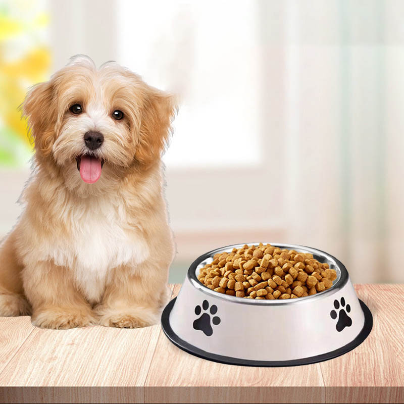 Stainless Steel Large Capacity - Pet Supplies Is Food 评论和价格