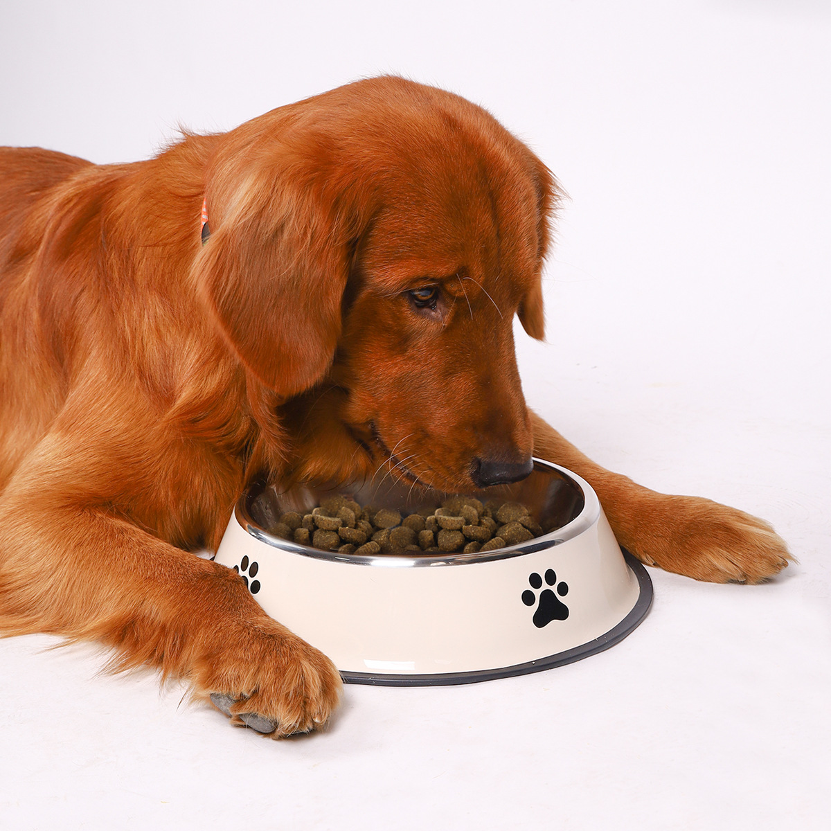 Stainless Steel Large Capacity - Pet Supplies Is Food 评论和价格
