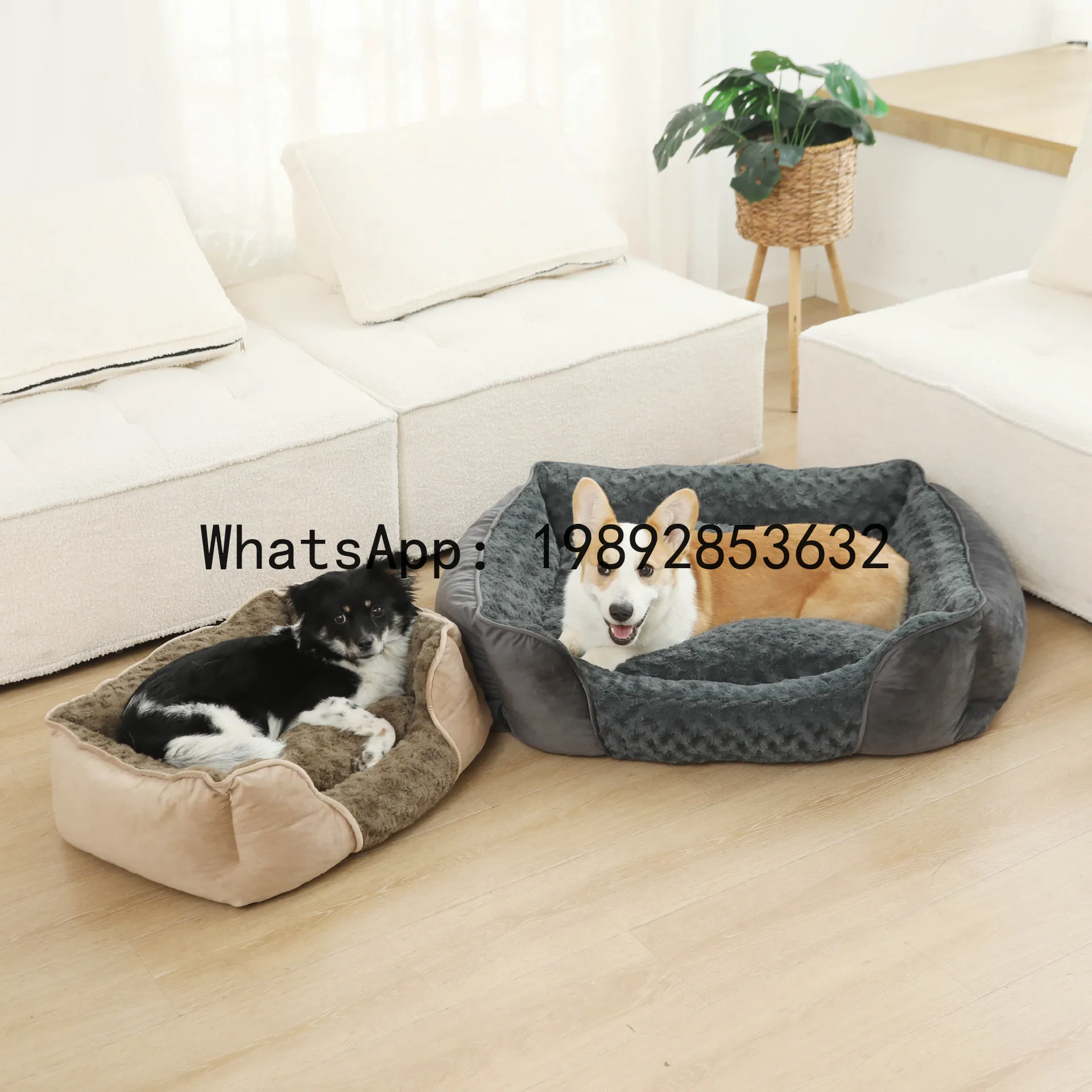 X cat house semi-enclosed dog  - Pet X Supplies & Tack 评论和价格