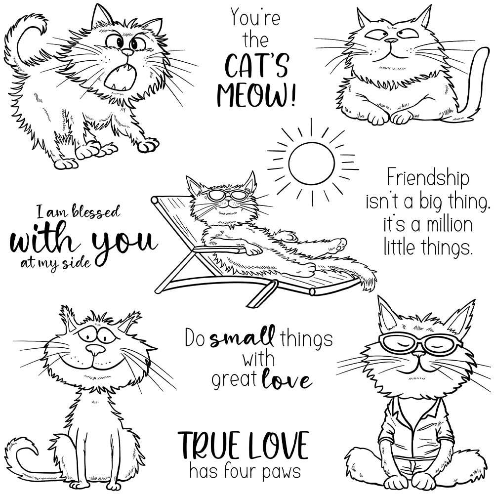 Mangocraft Funny Pet Cats Holi - Pet Supplies Is Food 评论和价格