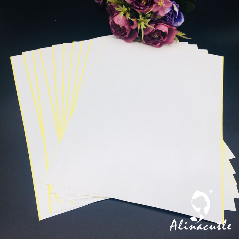 10PC X A4 Double Sided Tape St - Pet X Supplies & Tack 评论和价格