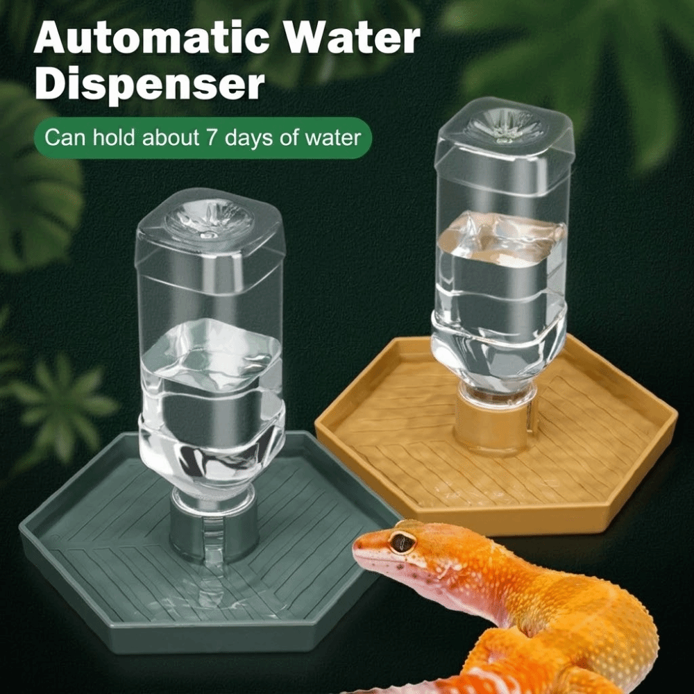 Feeding Supplies Automatic Tur - Pet Supplies Is Food 评论和价格