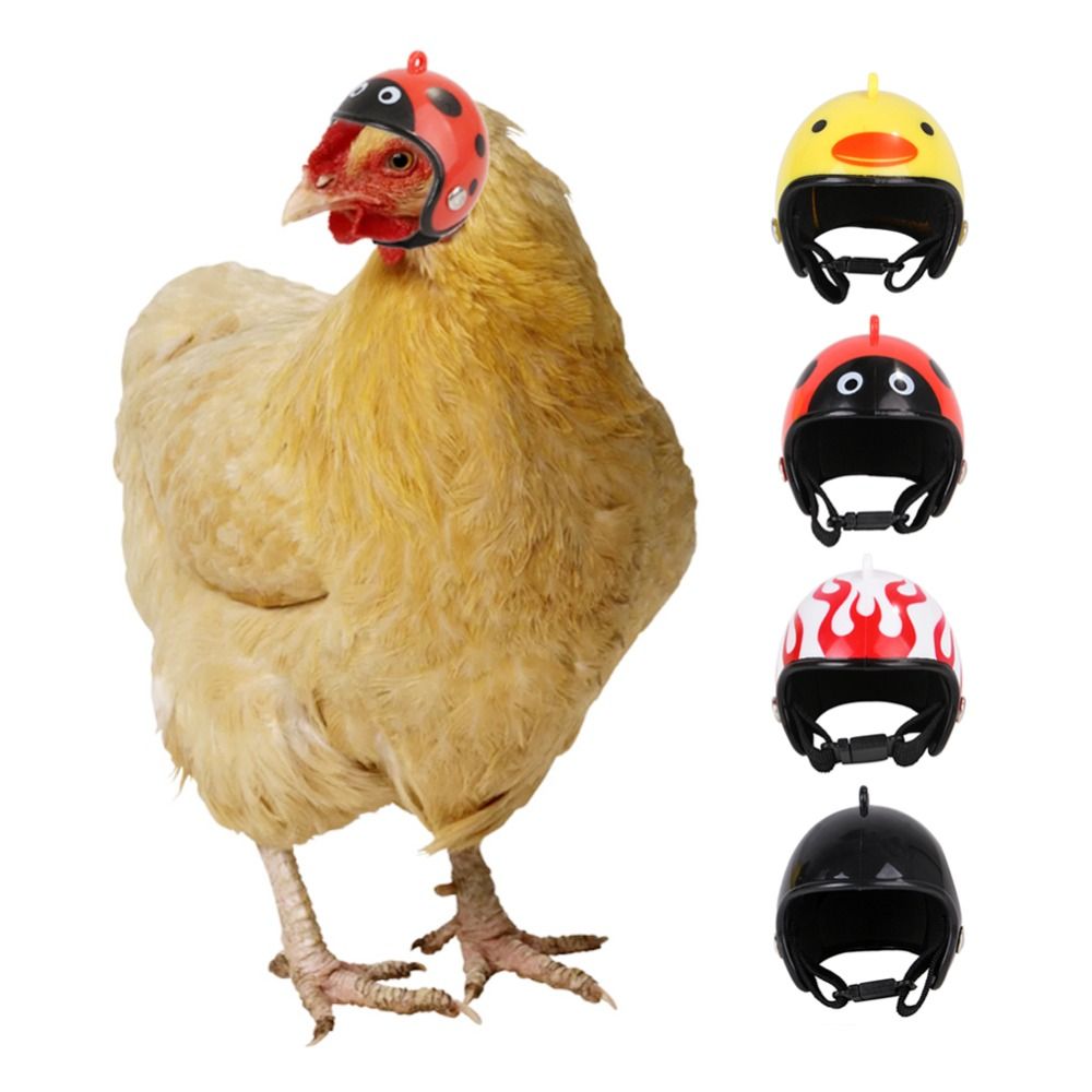 ABS Pet Supplies Funny Pet Pro - Pet X Supplies & Tack 评论和价格