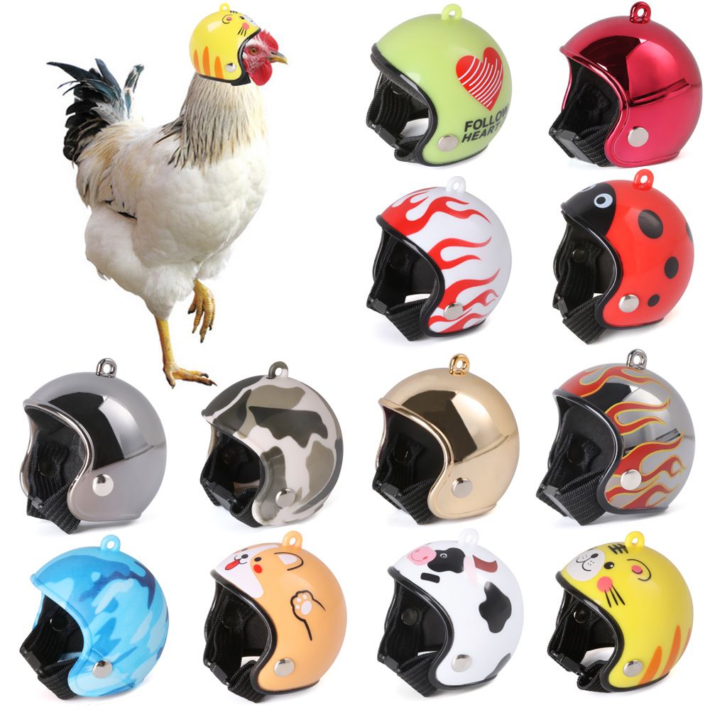 ABS Pet Supplies Funny Pet Pro - Pet X Supplies & Tack 评论和价格