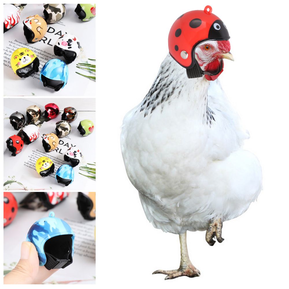 ABS Funny Pet Supplies Pet Pro - Pet X Supplies & Tack 评论和价格